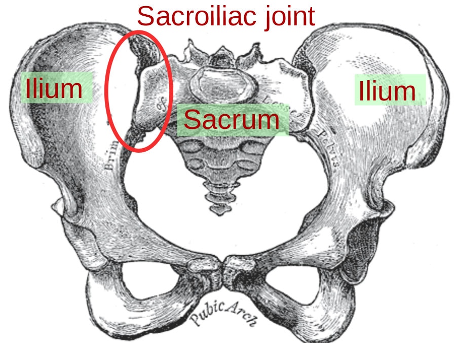 Sacroiliac Joint Pain Referral Zones